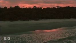 Snake in the Grass - Season 01 Episode 02